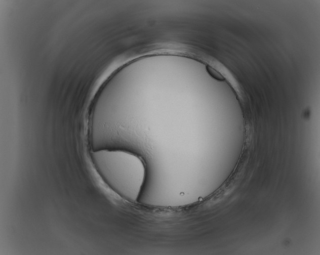 X0000093501099200710121037