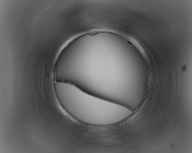 X0000093501100200710121037