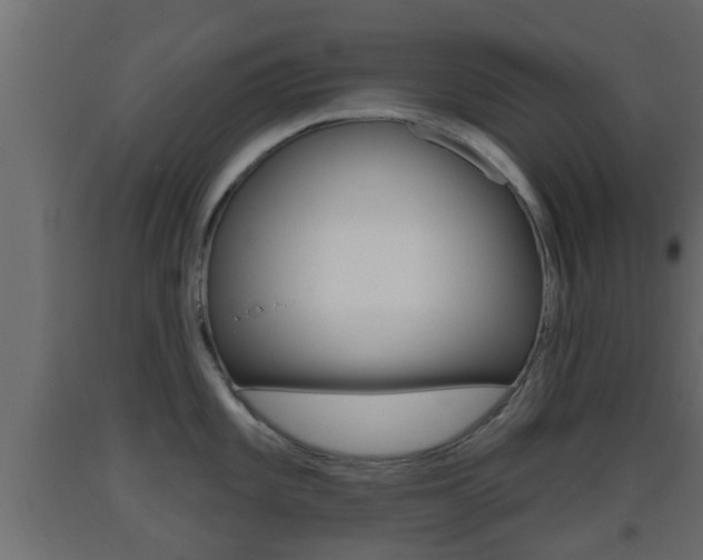 X0000093501101200710121037