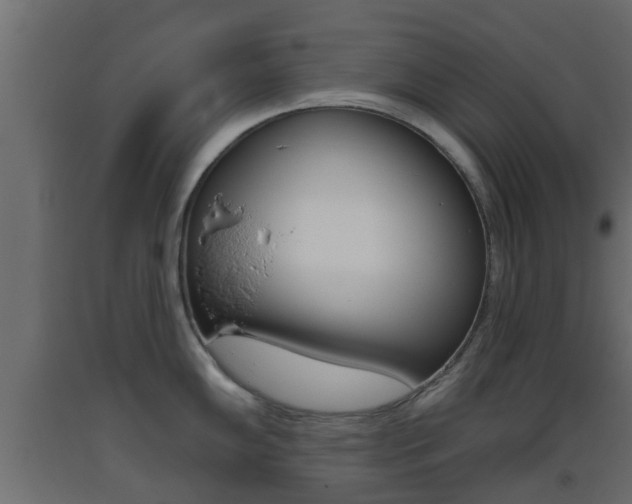 X0000093501102200710121037