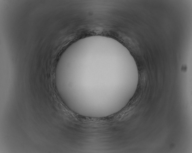 X0000093501105200710121037