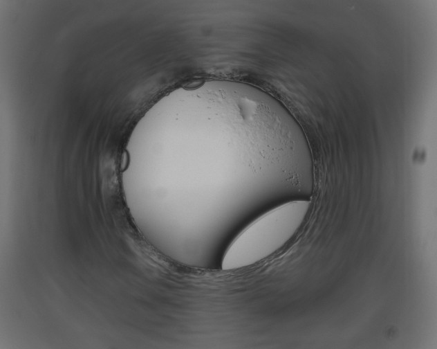 X0000093501106200710121037