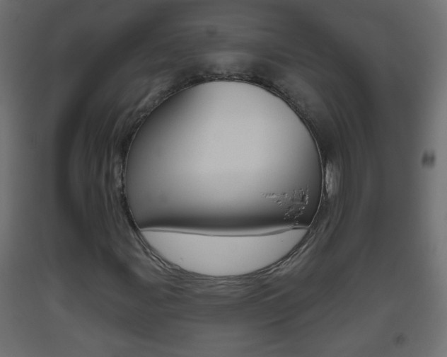 X0000093501107200710121037