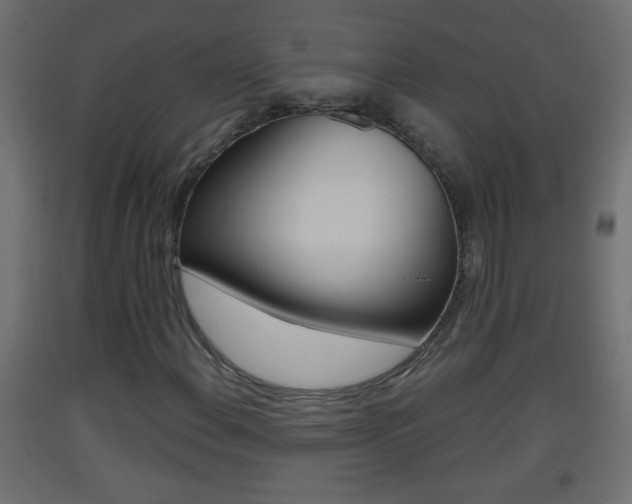 X0000093501108200710121037