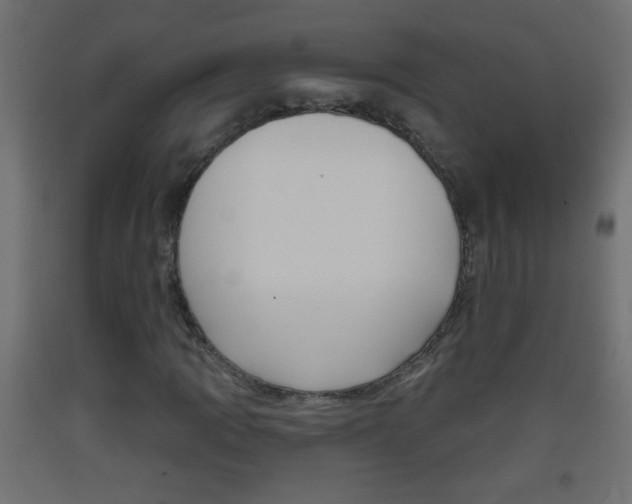 X0000093501109200710121037