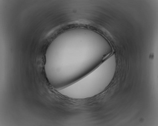 X0000093501110200710121037