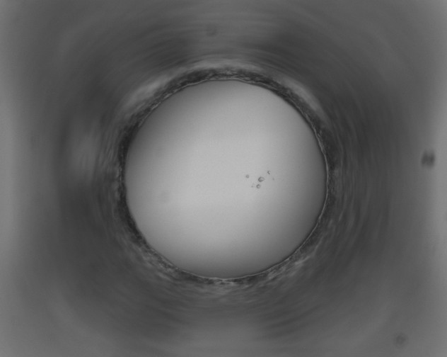 X0000093501111200710121037