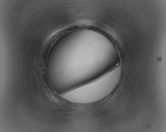 X0000093501112200710121037