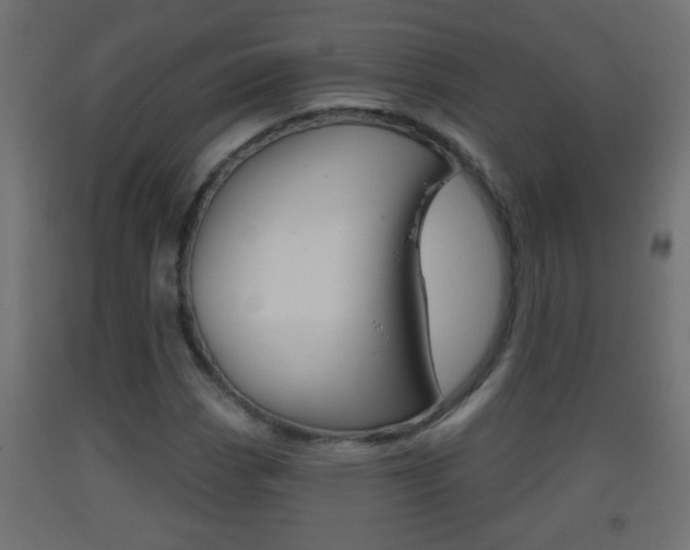X0000093501113200710121037
