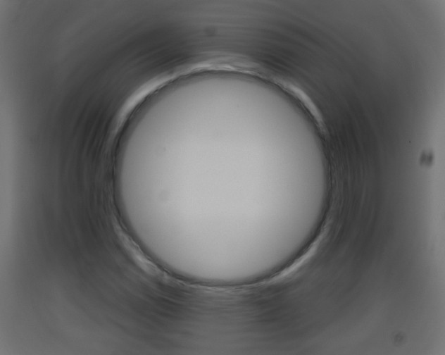 X0000093501114200710121037