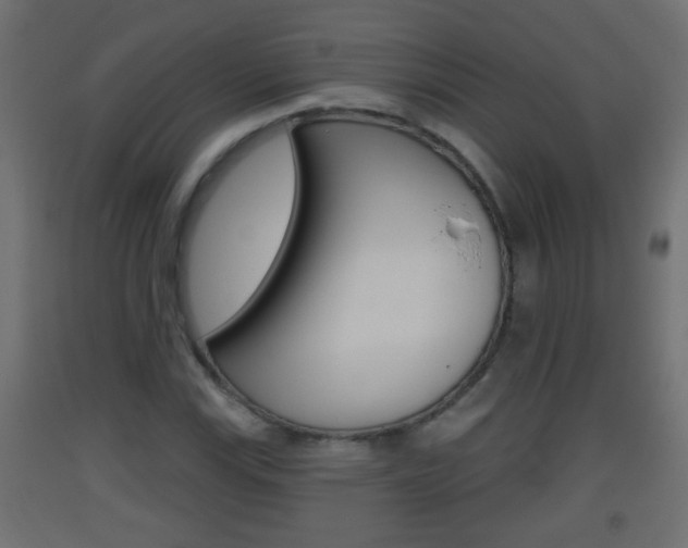 X0000093501115200710121037