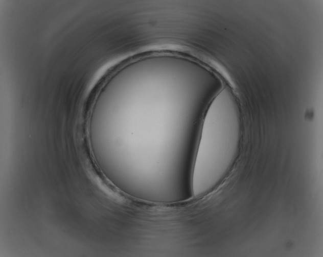 X0000093501116200710121037