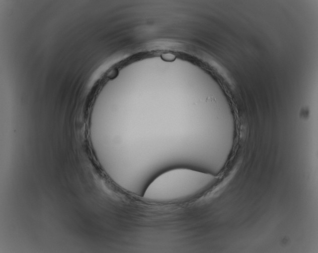 X0000093501117200710121037