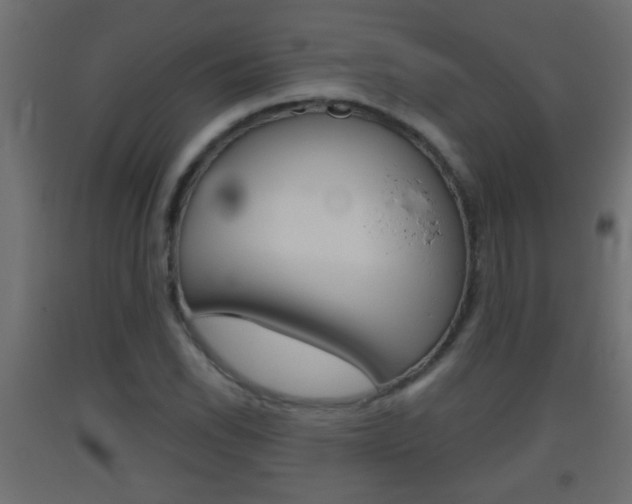 X0000093501118200710121037