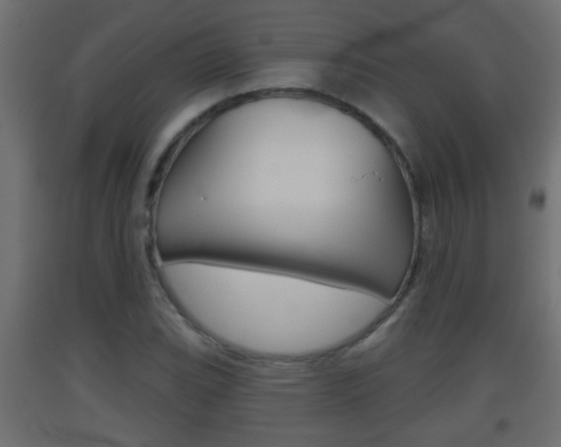 X0000093501119200710121037