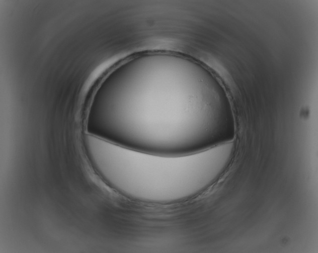 X0000093501120200710121037