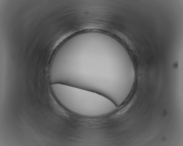 X0000093501121200710121037