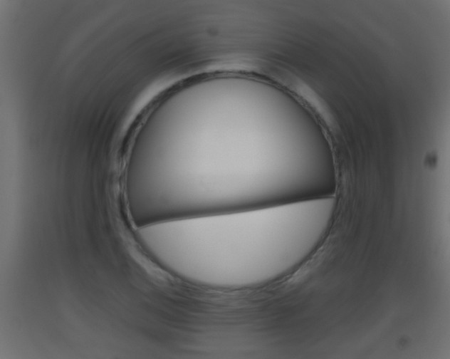 X0000093501124200710121037