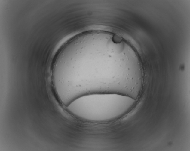 X0000093501125200710121037