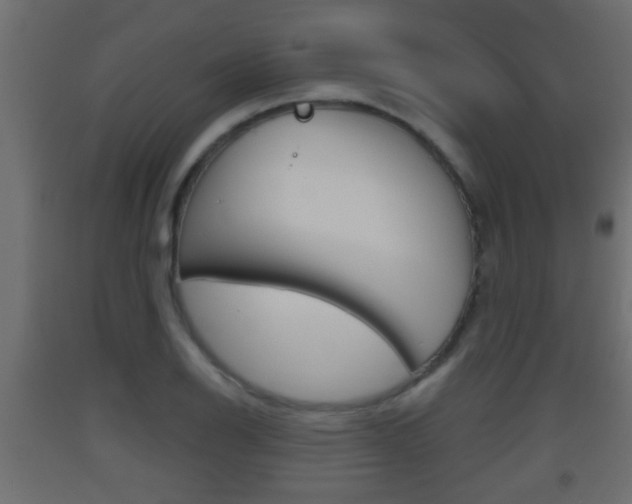 X0000093501126200710121037