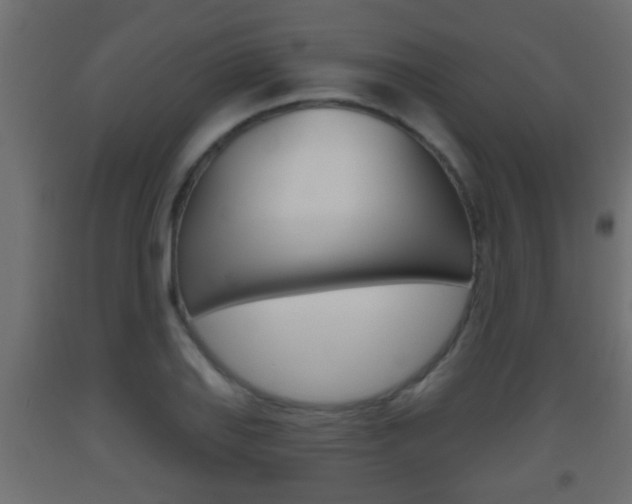 X0000093501127200710121037