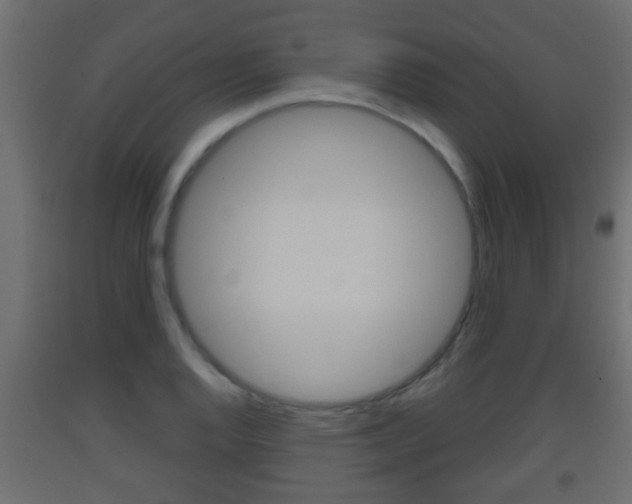 X0000093501128200710121037