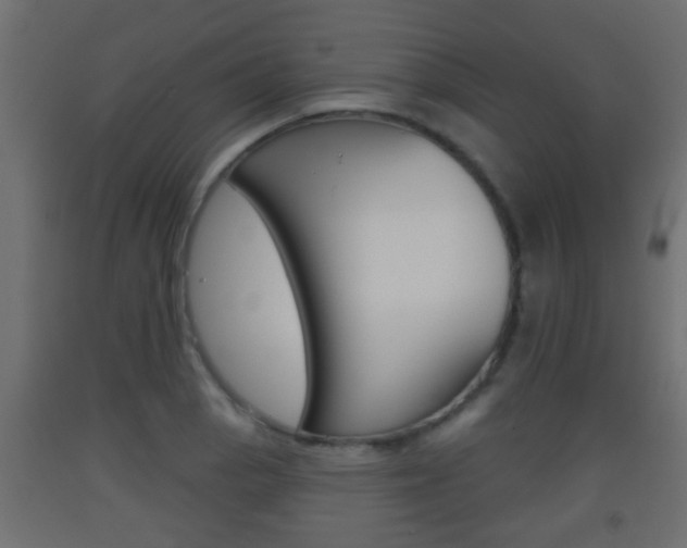 X0000093501129200710121037