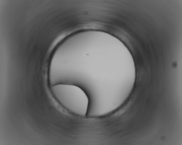 X0000093501130200710121037