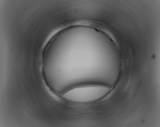 X0000093501131200710121037
