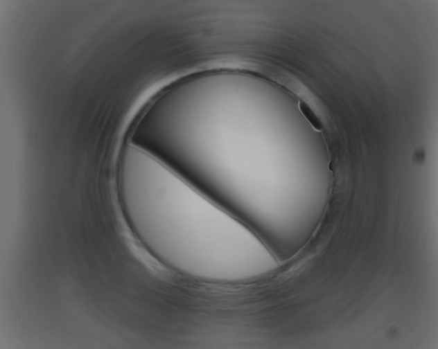 X0000093501132200710121037