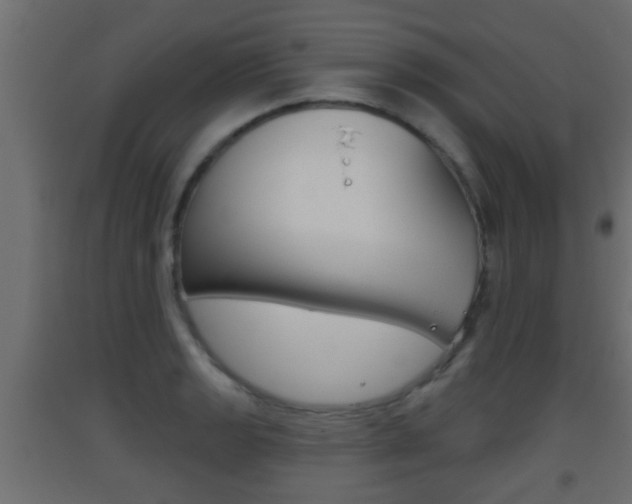 X0000093501133200710121037