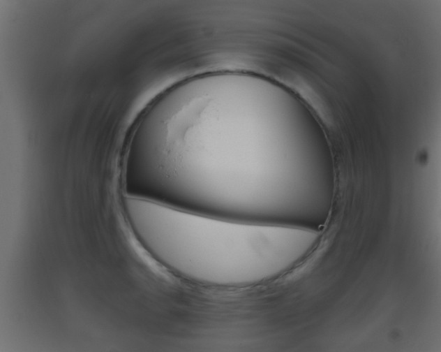 X0000093501134200710121037