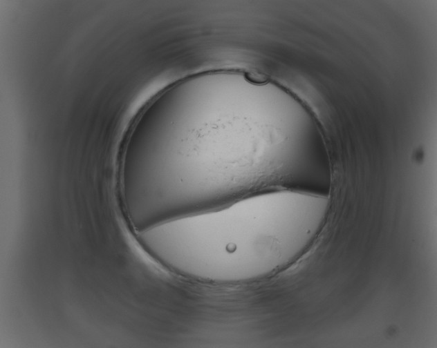 X0000093501135200710121037