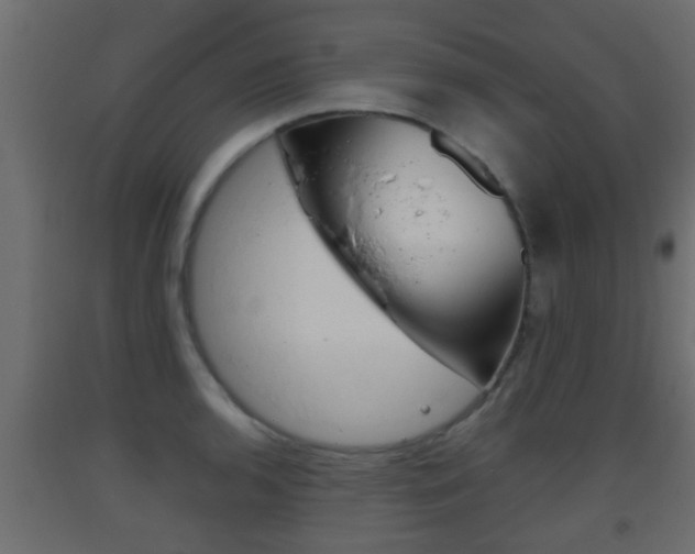 X0000093501136200710121037