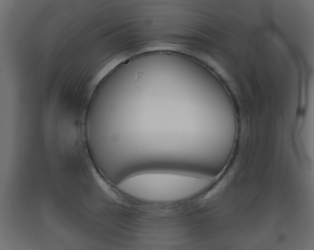 X0000093501137200710121037