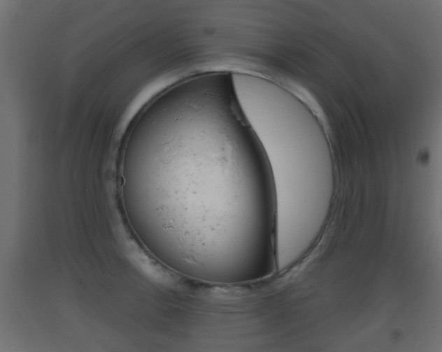 X0000093501138200710121037