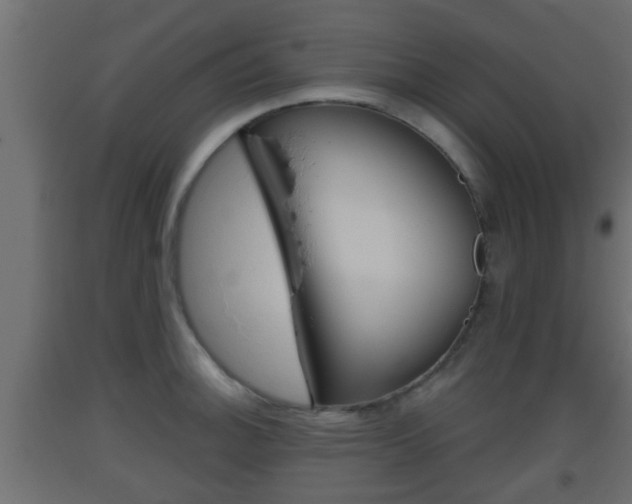 X0000093501140200710121037