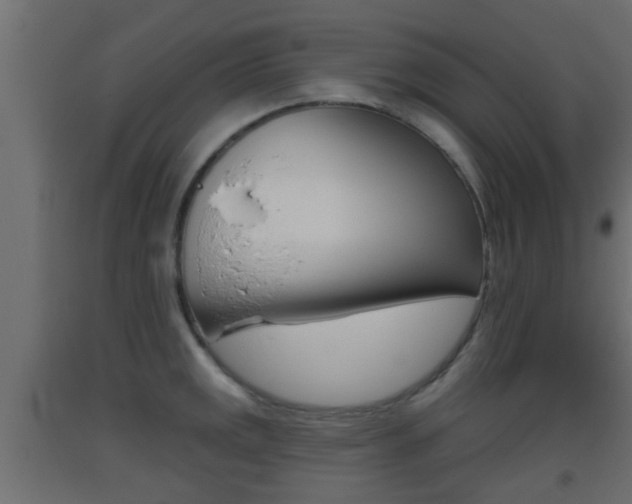 X0000093501141200710121037