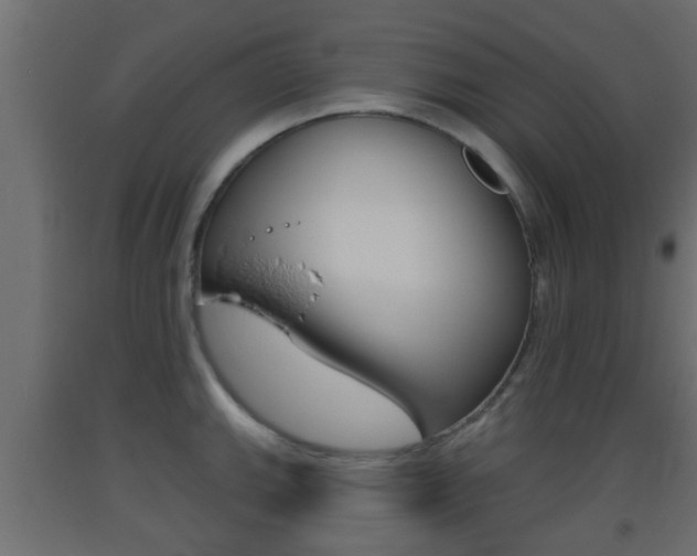 X0000093501143200710121037