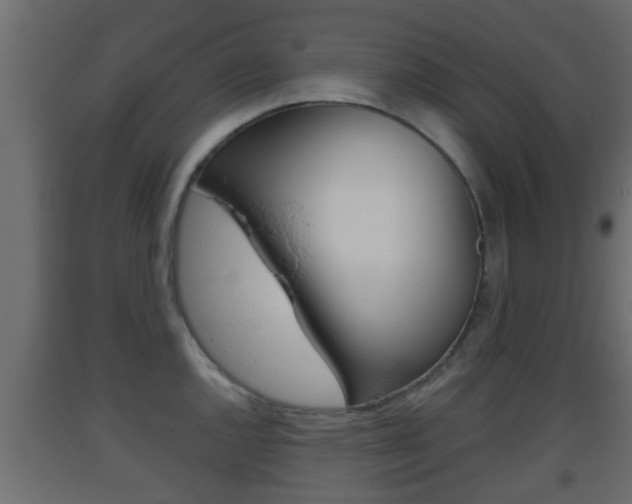X0000093501144200710121037