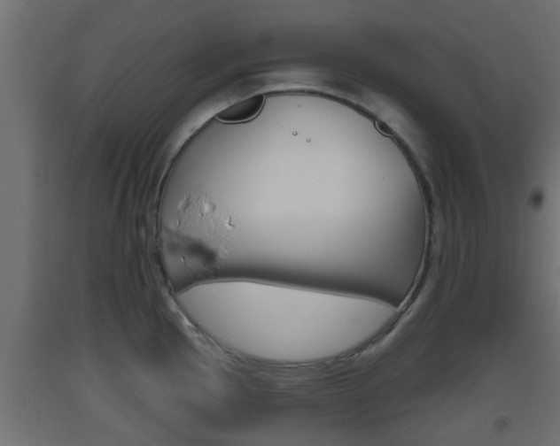 X0000093501145200710121037