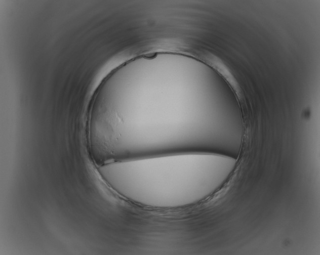 X0000093501146200710121037