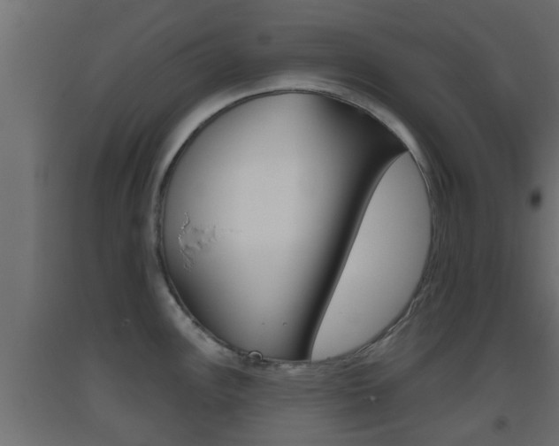 X0000093501148200710121037