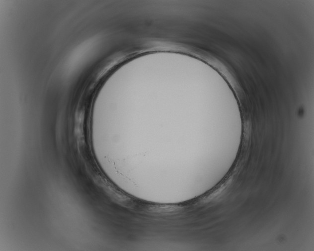 X0000093501150200710121037