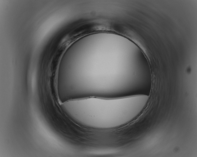 X0000093501151200710121037