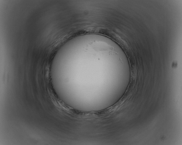 X0000093501154200710121037
