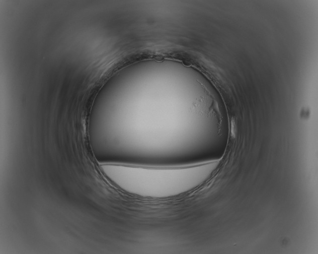 X0000093501155200710121037