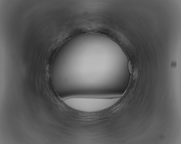 X0000093501156200710121037