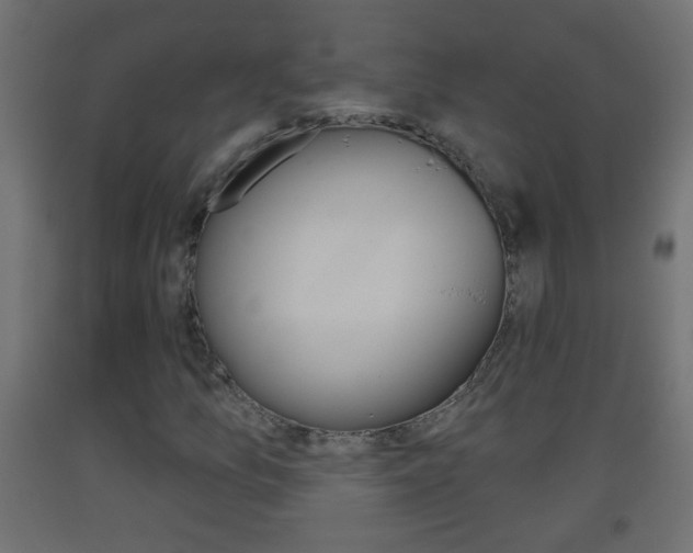 X0000093501157200710121037