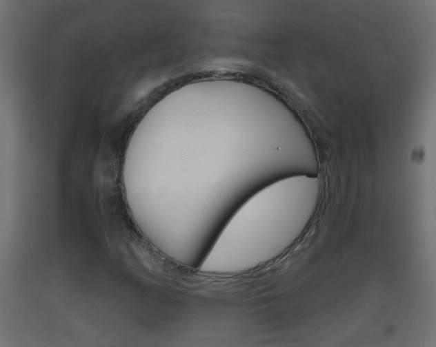 X0000093501158200710121037
